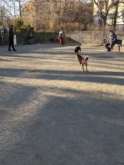 Dog Park - Jersey City, NJ