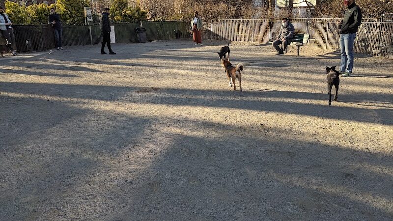 Dog Park - Jersey City, NJ