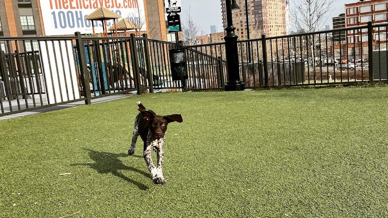 Dog park - Jersey City, NJ