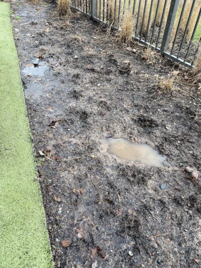 Dog park - Jersey City, NJ