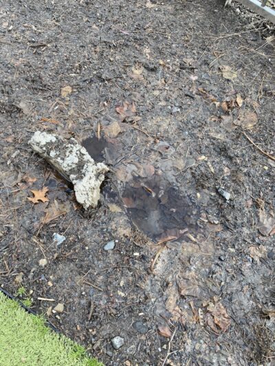 Dog park - Jersey City, NJ