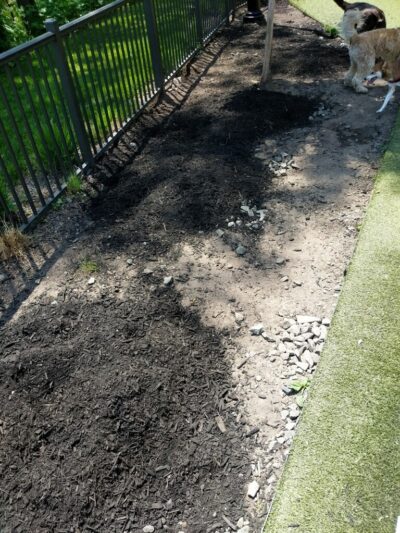 Dog park - Jersey City, NJ