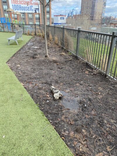 Dog park - Jersey City, NJ