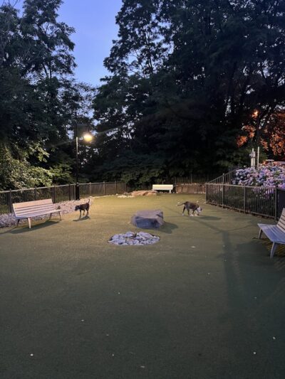 Dog park - Jersey City, NJ