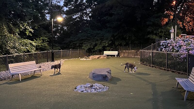 Dog park - Jersey City, NJ