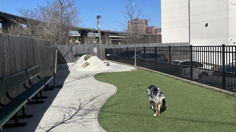 Dog Park - Jersey City, NJ