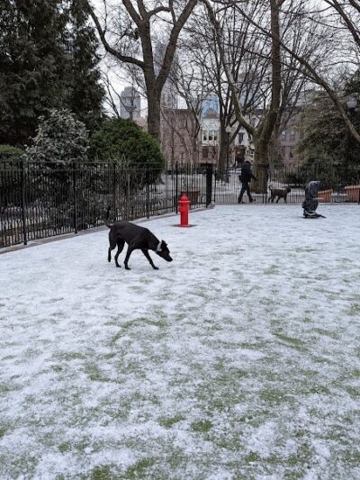 Dog Park - Jersey City, NJ