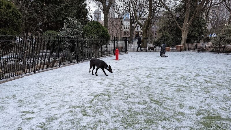 Dog Park - Jersey City, NJ