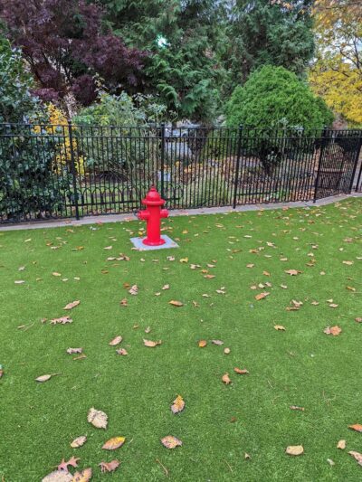 Dog Park - Jersey City, NJ