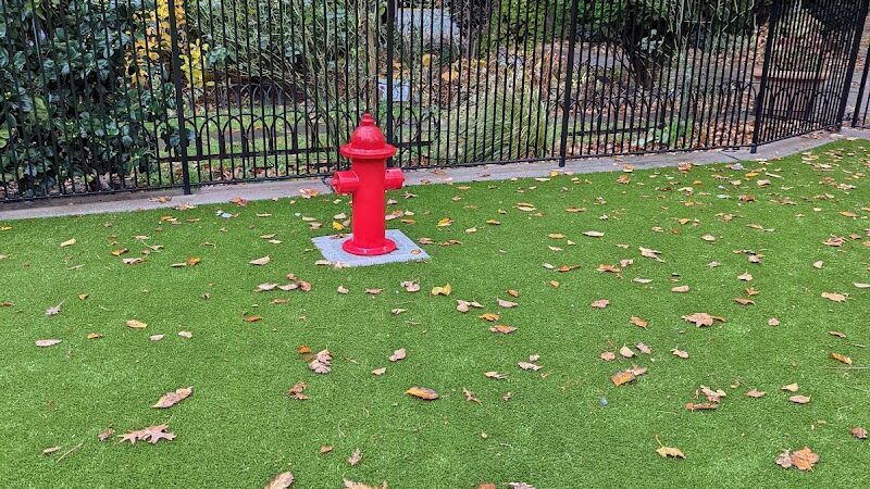 Dog Park - Jersey City, NJ