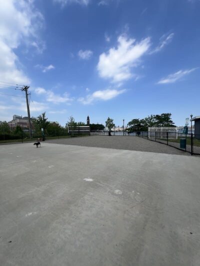 Dog Run - Jersey City, NJ