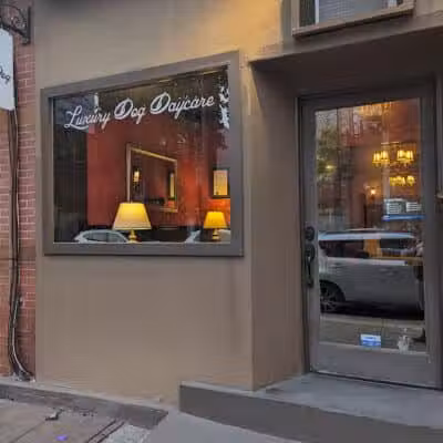 Executive Dog Lounge - Jersey City, NJ