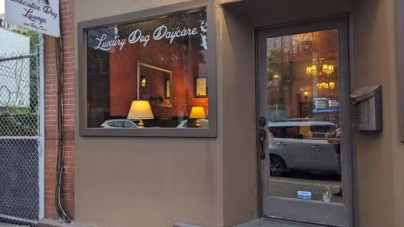 Executive Dog Lounge - Jersey City, NJ