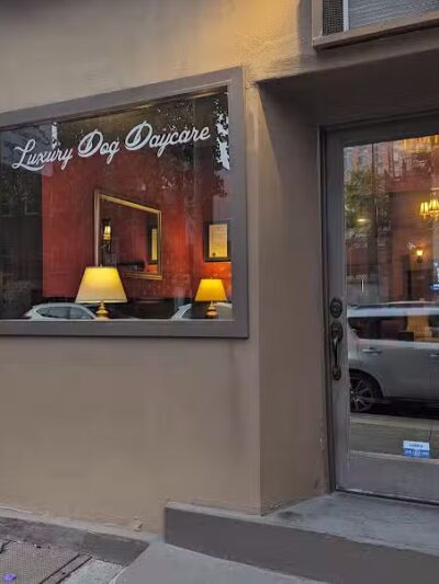 Executive Dog Lounge - Jersey City, NJ