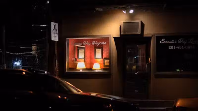 Executive Dog Lounge - Jersey City, NJ