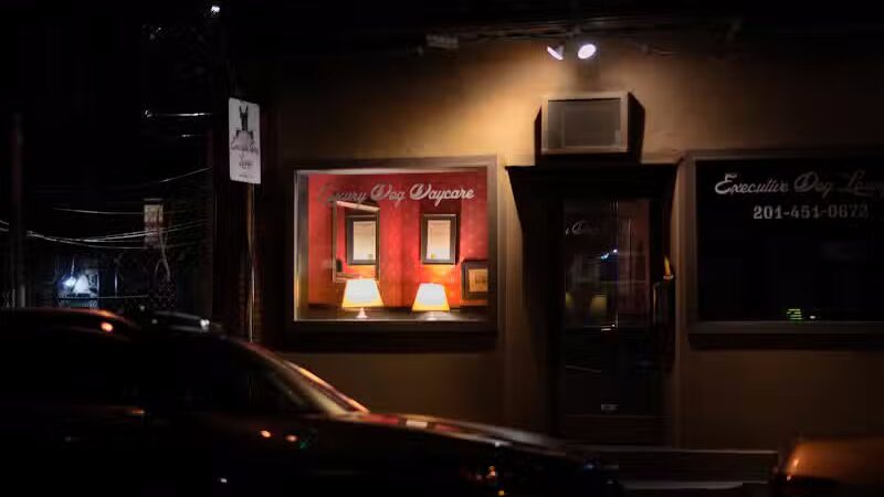 Executive Dog Lounge - Jersey City, NJ