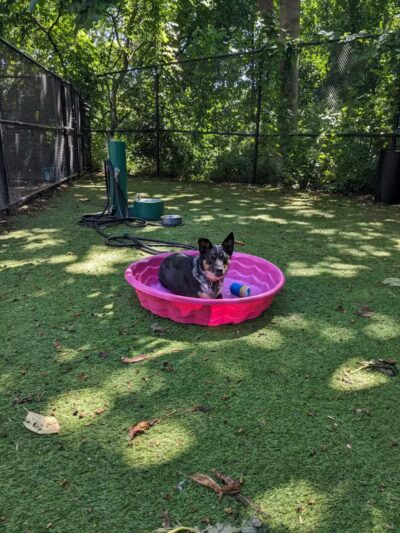 Janet Moore Park - Jersey City, NJ