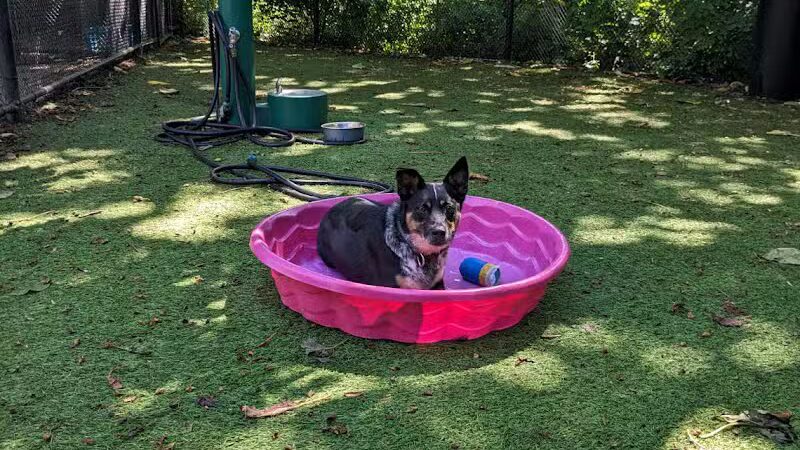 Janet Moore Park - Jersey City, NJ