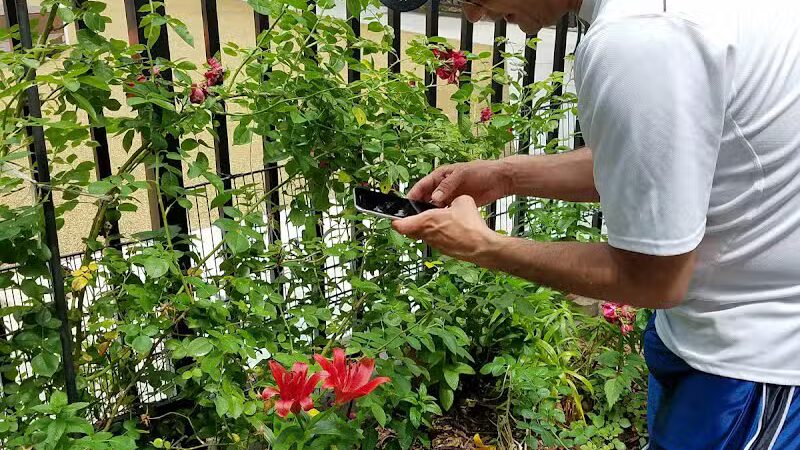 Janet Moore Park - Jersey City, NJ