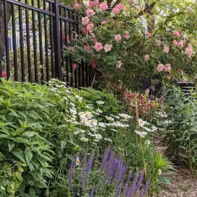 Janet Moore Park - Jersey City, NJ