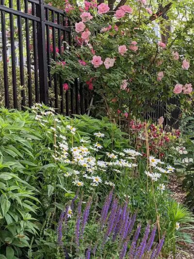 Janet Moore Park - Jersey City, NJ