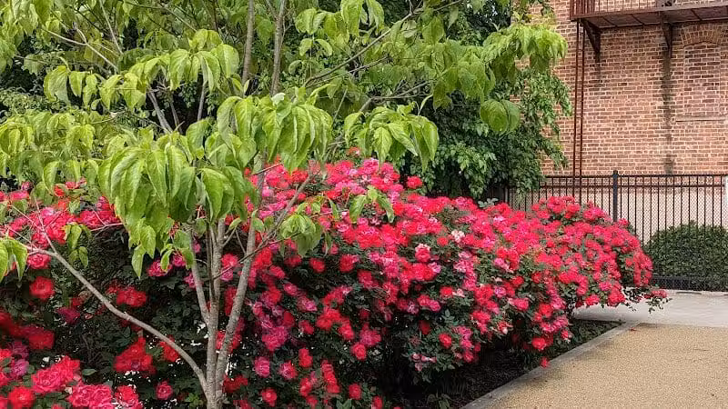 Janet Moore Park - Jersey City, NJ