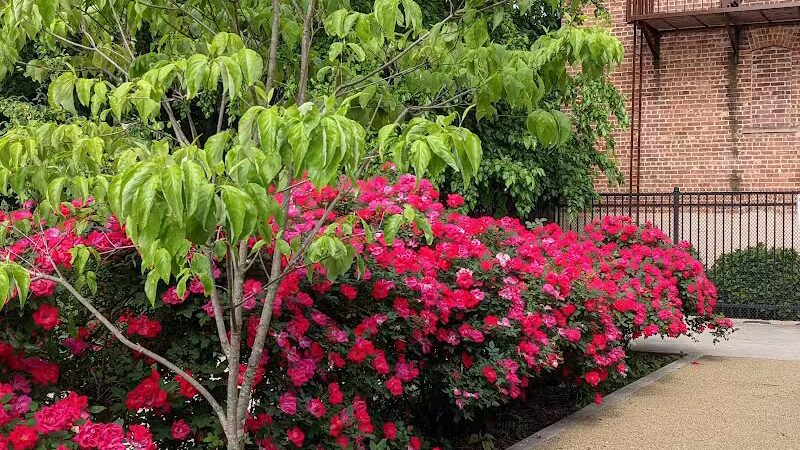 Janet Moore Park - Jersey City, NJ