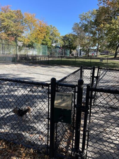Leonard Dog Park - Jersey City, NJ