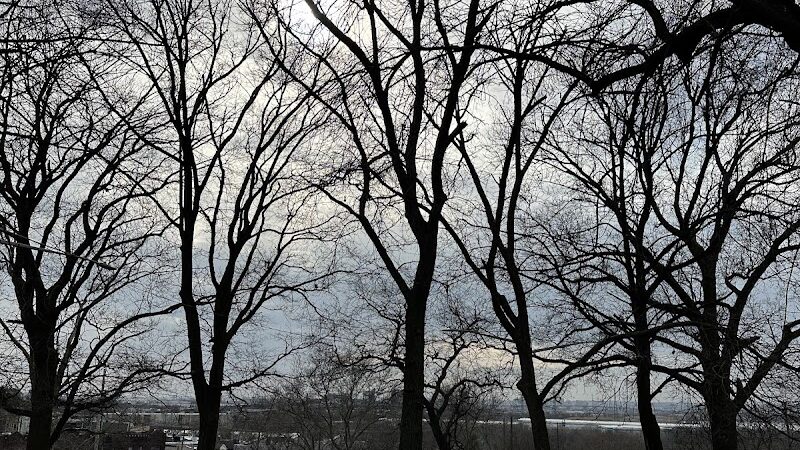 Leonard Dog Park - Jersey City, NJ