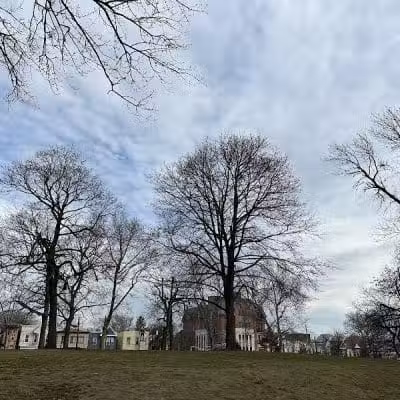 Leonard Dog Park - Jersey City, NJ