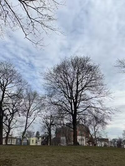 Leonard Dog Park - Jersey City, NJ