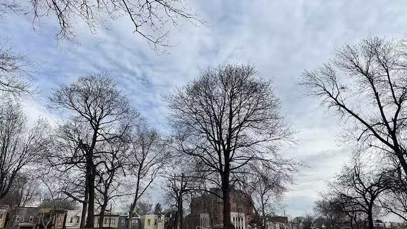 Leonard Dog Park - Jersey City, NJ