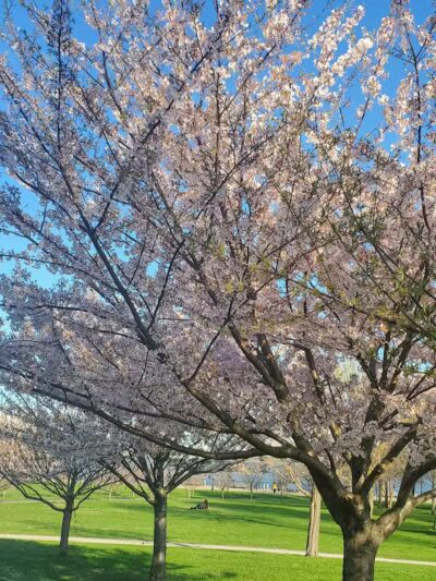 Liberty State Park Playground - Jersey City, NJ