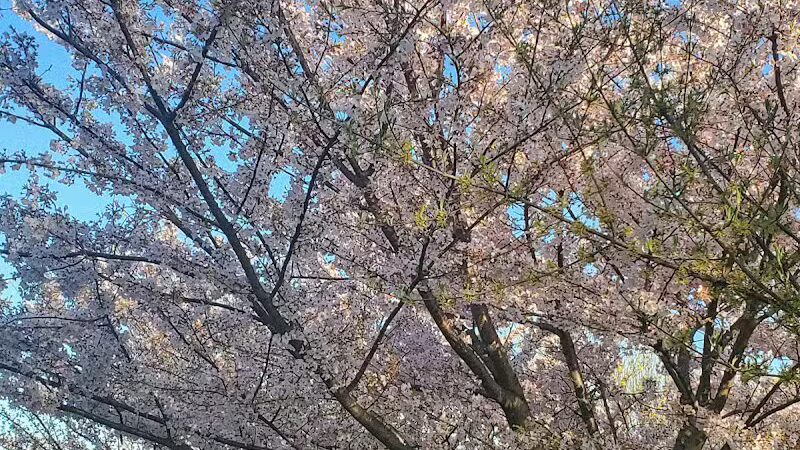 Liberty State Park Playground - Jersey City, NJ