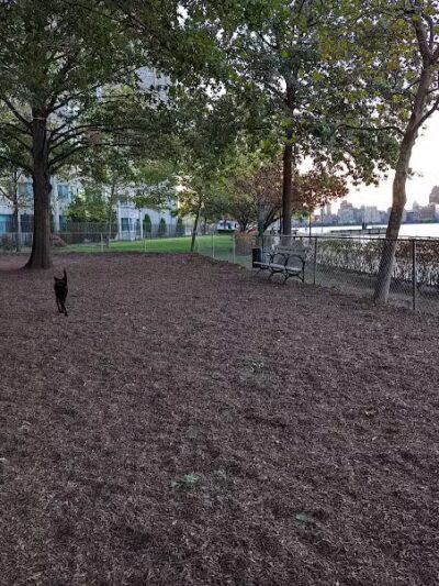 Lighthouse Dog Run - Jersey City, NJ