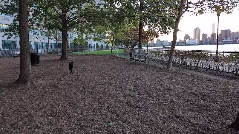Lighthouse Dog Run - Jersey City, NJ