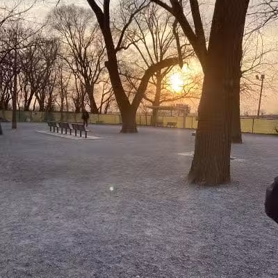 Lincoln Park Dog Run - Jersey City, NJ