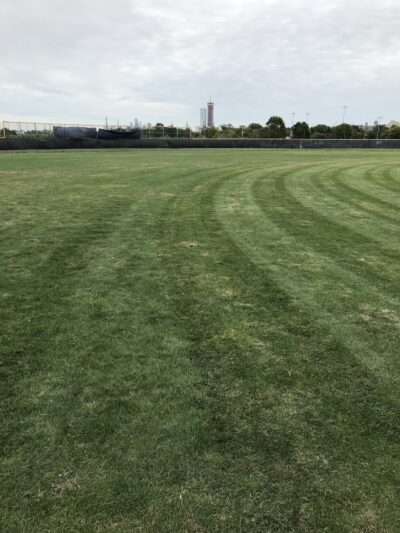Lincoln Park Dog Run - Jersey City, NJ