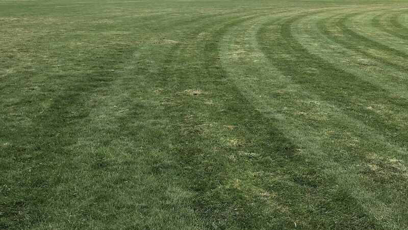 Lincoln Park Dog Run - Jersey City, NJ