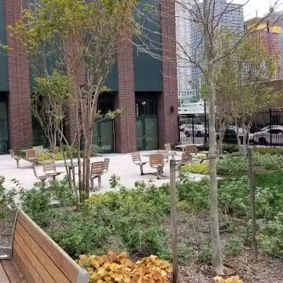 Marin Green - Jersey City, NJ