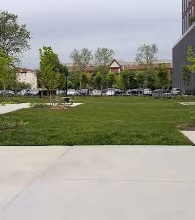 Marin Green - Jersey City, NJ