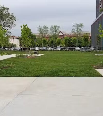 Marin Green - Jersey City, NJ