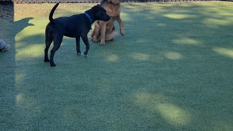 Marin Green Dog Park - Jersey City, NJ