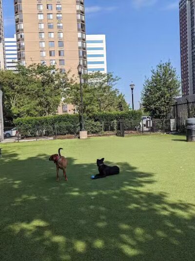 Newport Dog Park - Jersey City, NJ