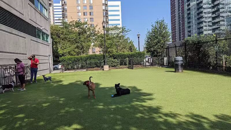 Newport Dog Park - Jersey City, NJ