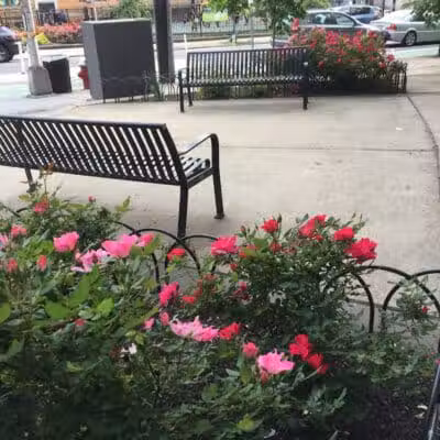 Paulus Hook Park - Jersey City, NJ