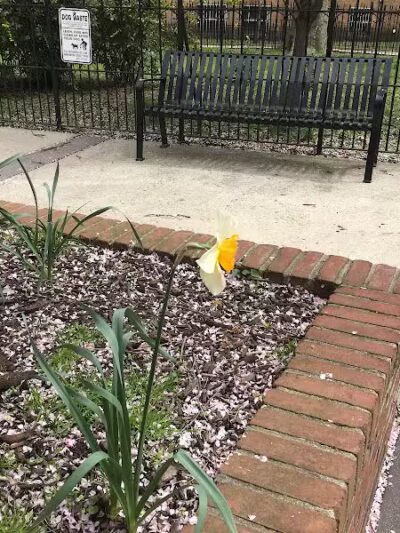 Paulus Hook Park - Jersey City, NJ