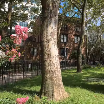 Paulus Hook Park - Jersey City, NJ