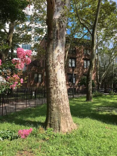 Paulus Hook Park - Jersey City, NJ