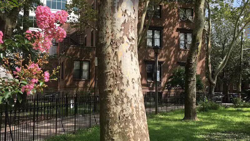 Paulus Hook Park - Jersey City, NJ